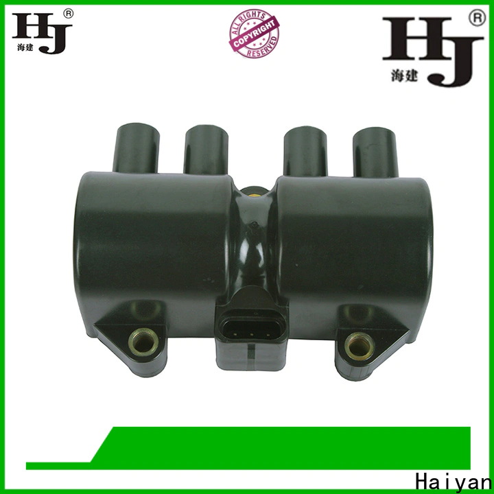Haiyan Best auto coil for business For car