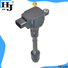 Haiyan ignition coil and coil pack Supply For car