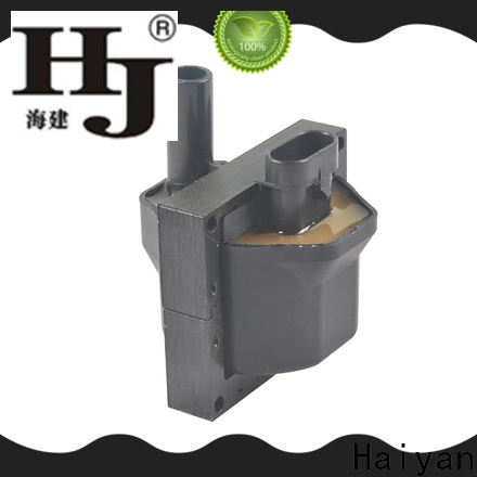 Haiyan Top spark plug coil Supply For Hyundai