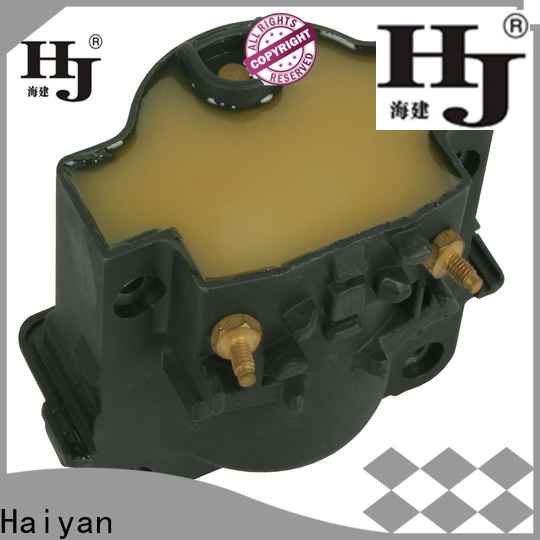 Haiyan Wholesale best high performance ignition coil company For Daewoo
