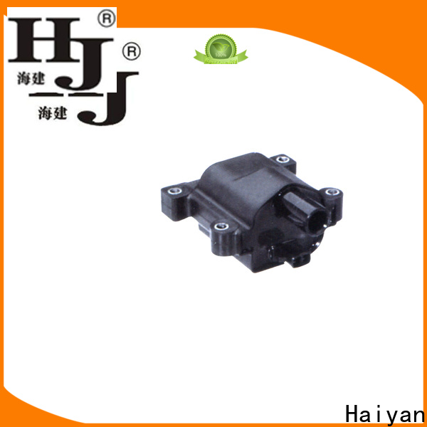 Haiyan vehicle coil company For car