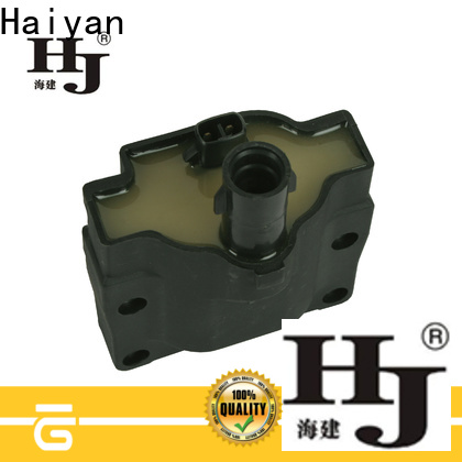 Haiyan Best car coils price factory For Hyundai