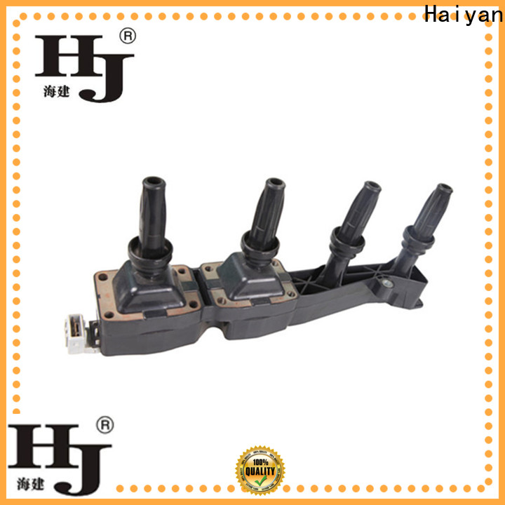 Haiyan Top ignition coil brands company For car