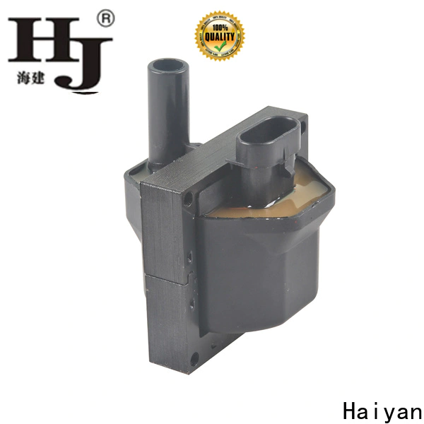 Haiyan oil on ignition coil Supply For Renault