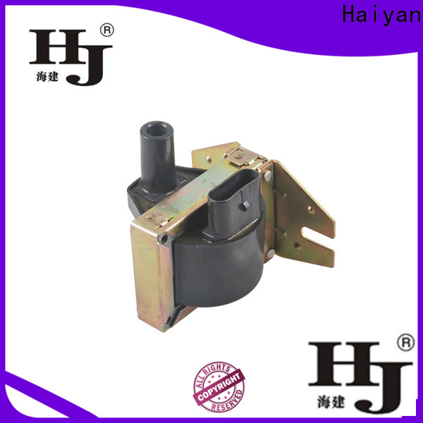 Haiyan Latest spark plug ignition coil for business For car