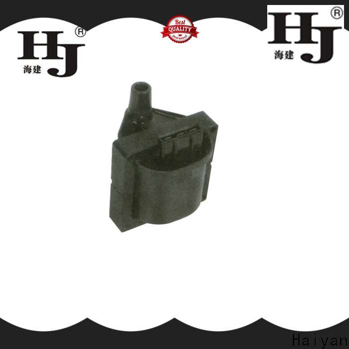 Haiyan Wholesale engine coil and spark plug for business For Renault