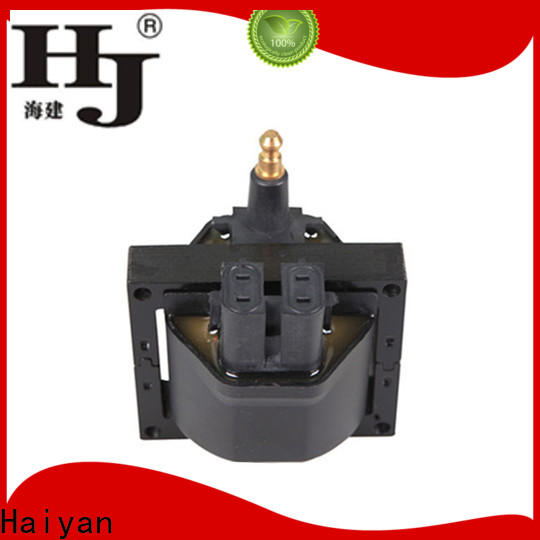 Haiyan oil in ignition coil factory For Toyota