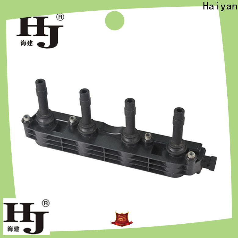 Haiyan best ignition coil factory For Renault