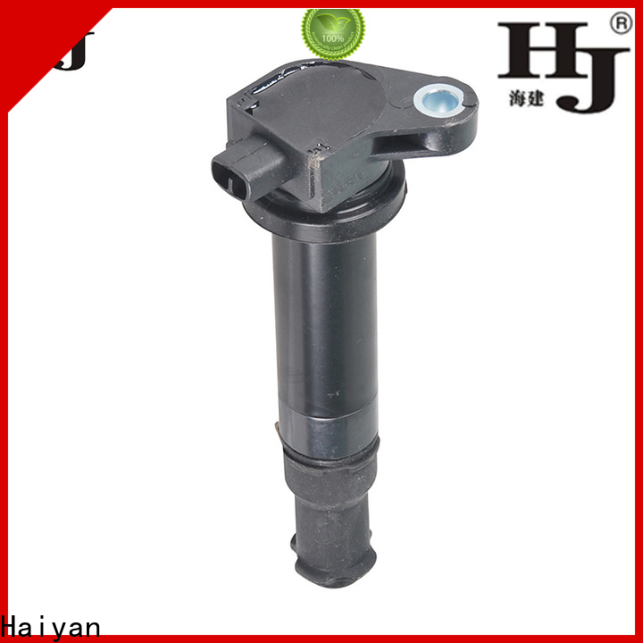 Haiyan Best car coil for business For car