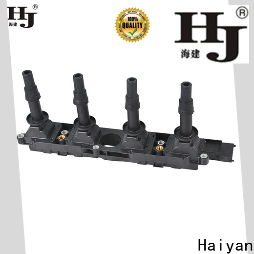 Haiyan Latest spark plug coil pack company For Toyota