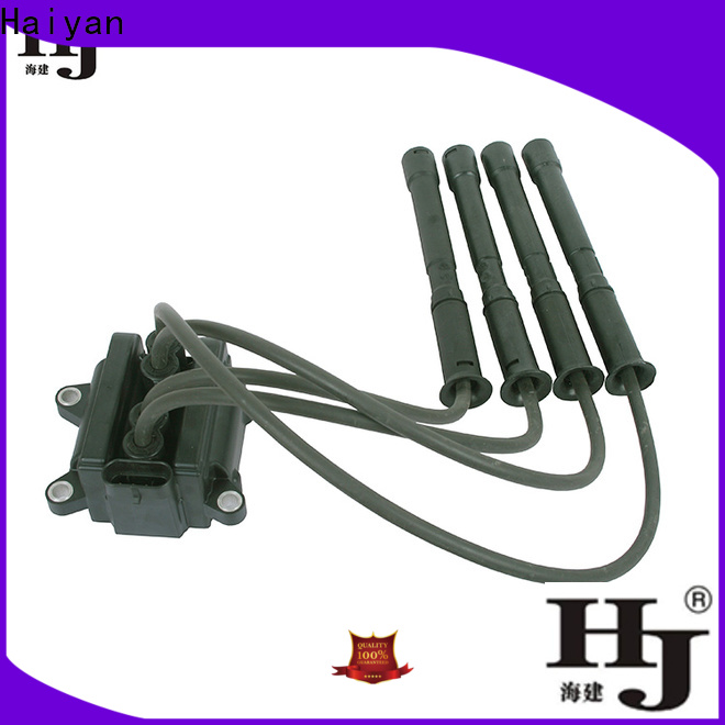 Haiyan Latest car ignition coil manufacturer company For Daewoo