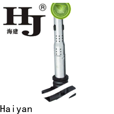 Custom ignition coils and spark plugs manufacturers For Renault