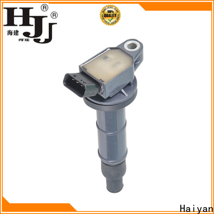 Haiyan Custom car coils price company For Hyundai