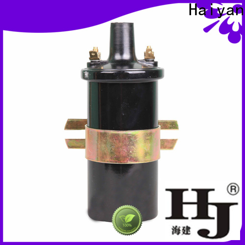 Haiyan oil in ignition coil Supply For Hyundai