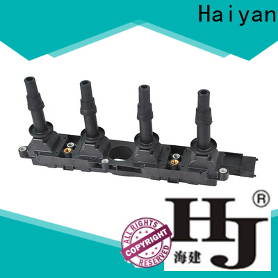 Haiyan car coil pack manufacturers For Toyota