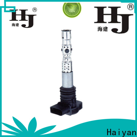 Haiyan best high performance ignition coil for business For Opel