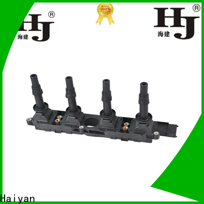 Haiyan best ignition coils company For Hyundai