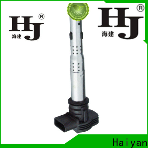 Haiyan best coil packs company For Renault
