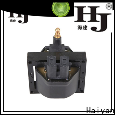 Haiyan car coils price factory For Renault