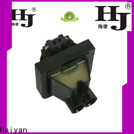 Haiyan Top ignition coil oil company For car