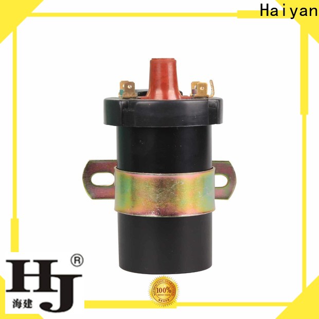 Haiyan Custom coil engine car manufacturers For car