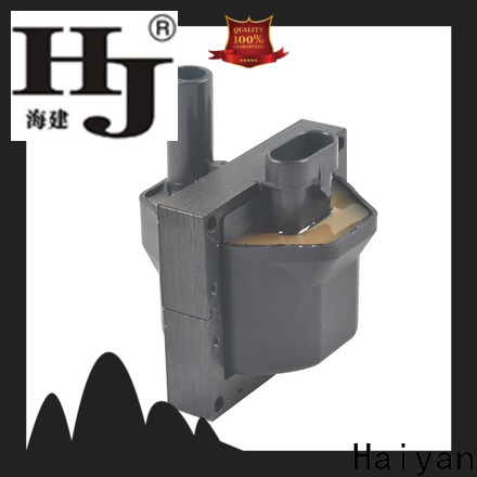 Haiyan Latest spark plug ignition coil company For Hyundai