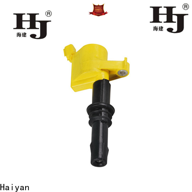 Haiyan ignition coil and spark plug for business For Hyundai