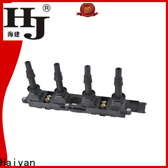 Haiyan New discount ignition coil company For Hyundai