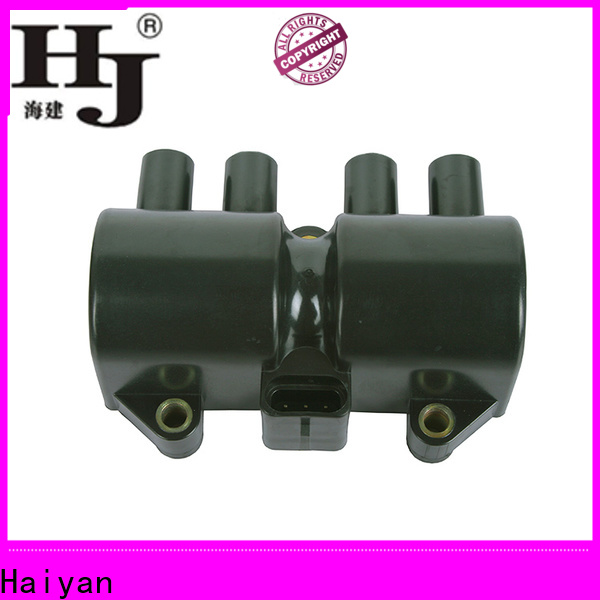 Haiyan High-quality car coils price manufacturers For Renault