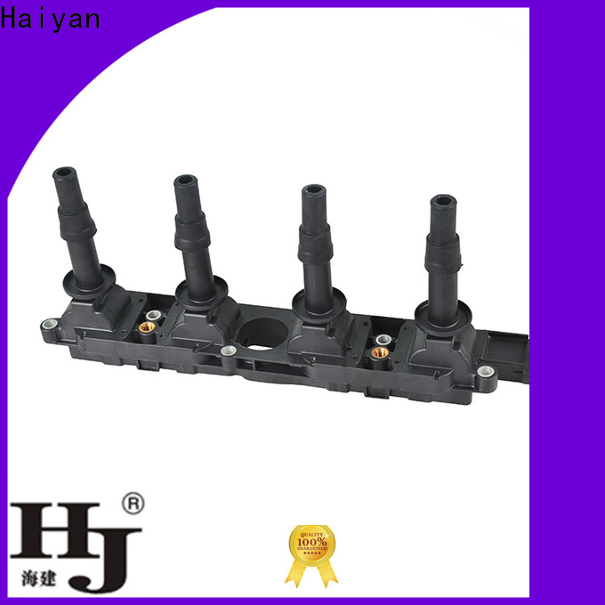 Custom auto coil company For Renault