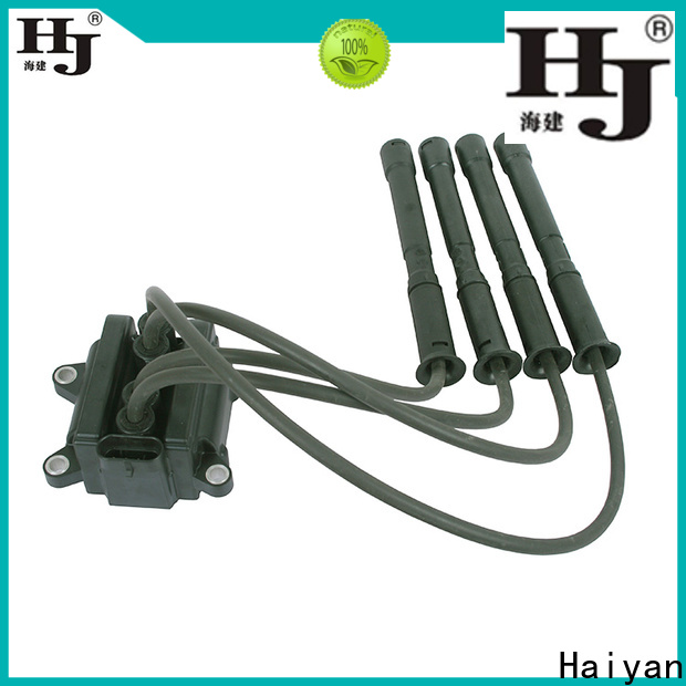 Haiyan Latest which ignition coil is best company For Renault