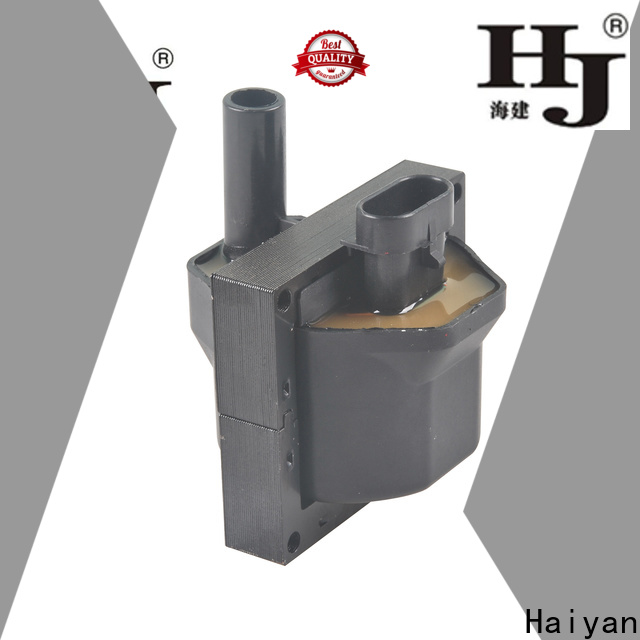 Haiyan Custom china ignition coil suppliers factory For Renault