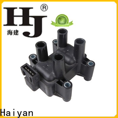 Haiyan Best spark plug coil removal tool company For Opel