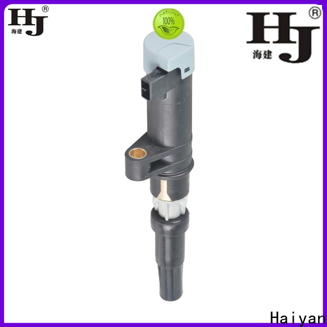Haiyan automotive coil Suppliers For Opel