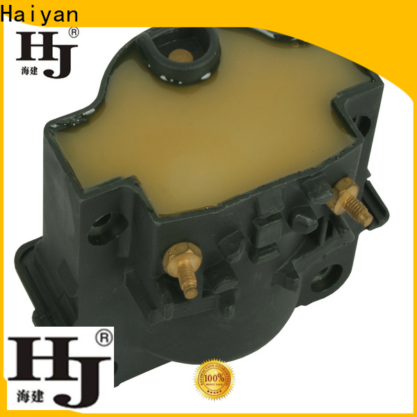 Haiyan Custom engine coil cost company For Opel