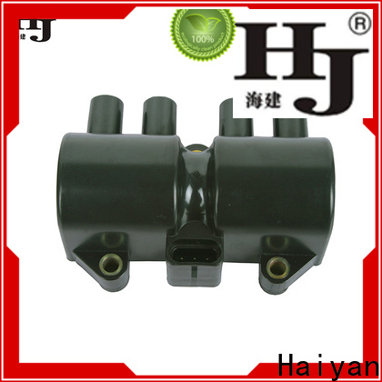 Haiyan spark plugs coils company For Hyundai