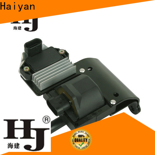 Wholesale oem coils manufacturers For car