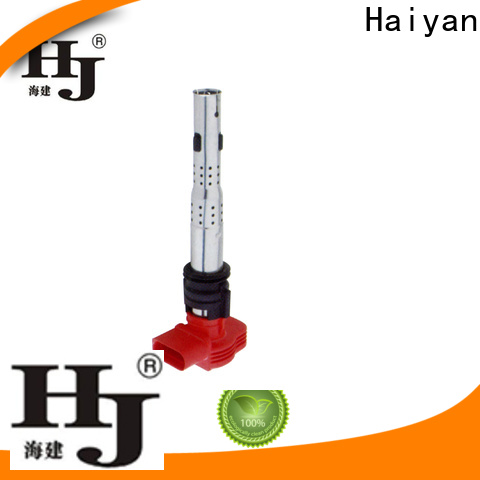 Haiyan Best oil in ignition coil factory For Hyundai