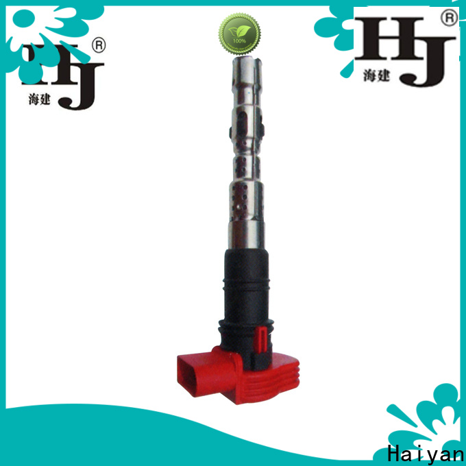 Haiyan car spark plug coil company For Daewoo