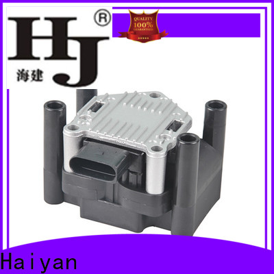 Haiyan Custom oem coil pack for business For Renault
