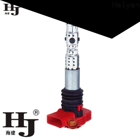 Haiyan Wholesale best ignition coils for business For Daewoo