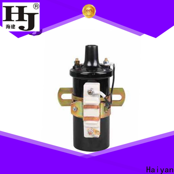 Haiyan New car coil voltage output for business For Opel