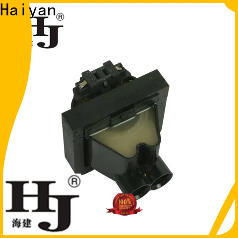 Haiyan coil auto part Supply For Renault