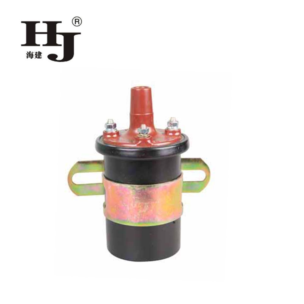 Haiyan Custom automotive ignition coil manufacturers company For Renault-1