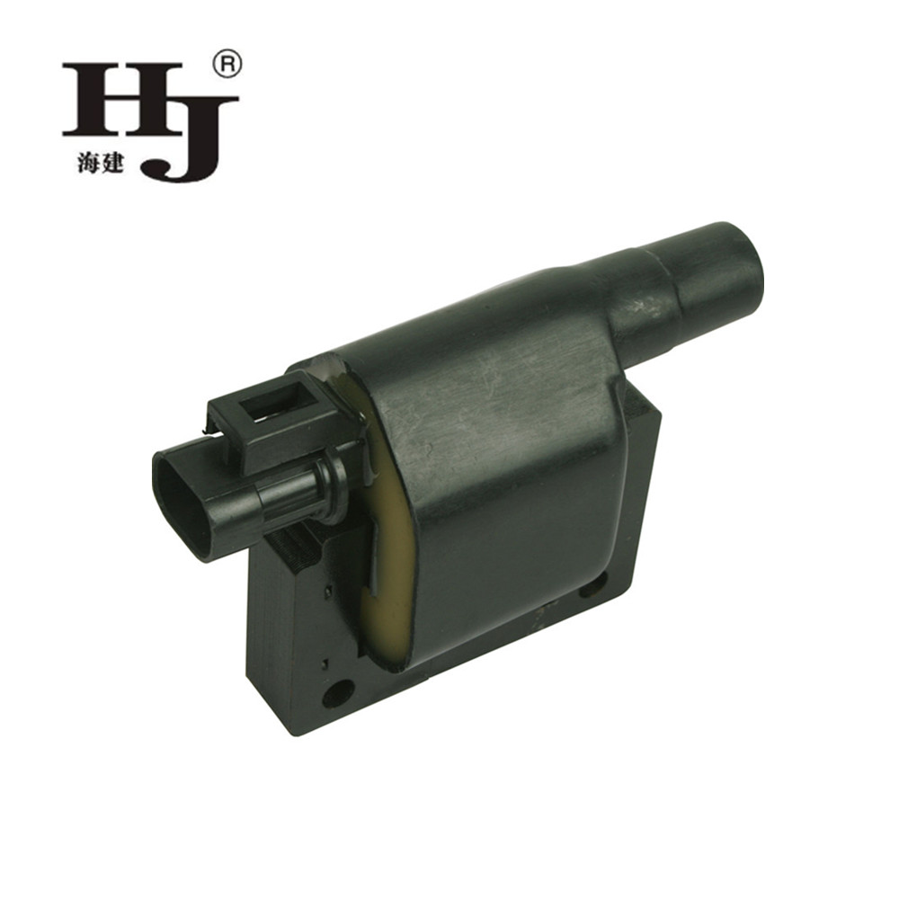 Top electronic ignition coil for business For Daewoo-2