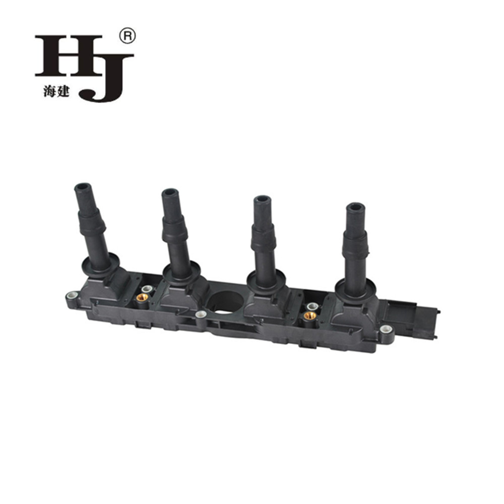 Haiyan High-quality car coil pack Supply For car-1