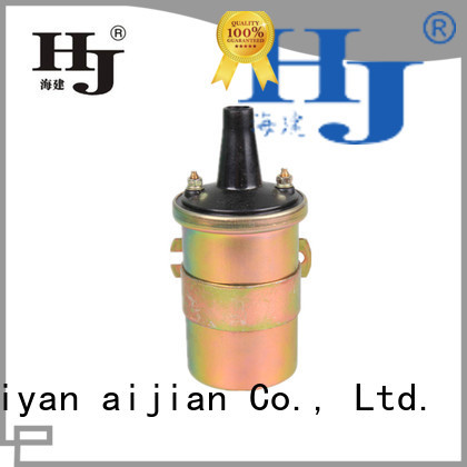 Haiyan suzuki ignition coil for business For Hyundai